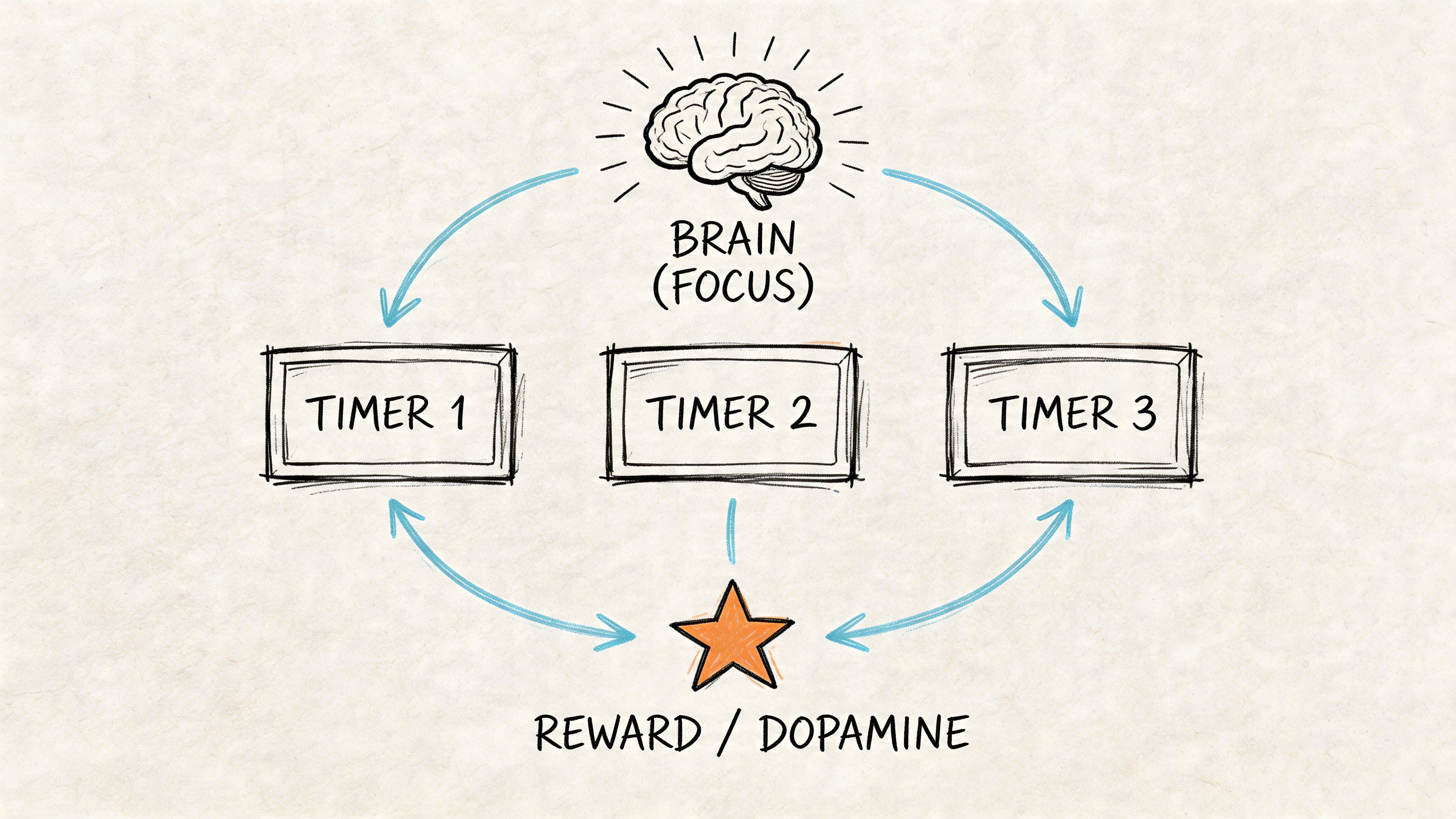 A diagram illustrating a focus system with a brain connecting three timers and a reward mechanism.